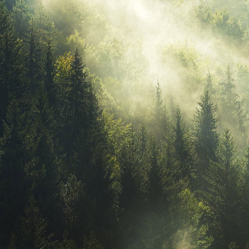 Vihreät ja vastuullisuuslinkatut lainat