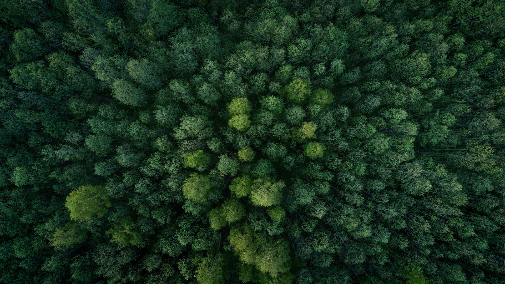 Aktia julkaisi uuden vastuullisuusstrategian